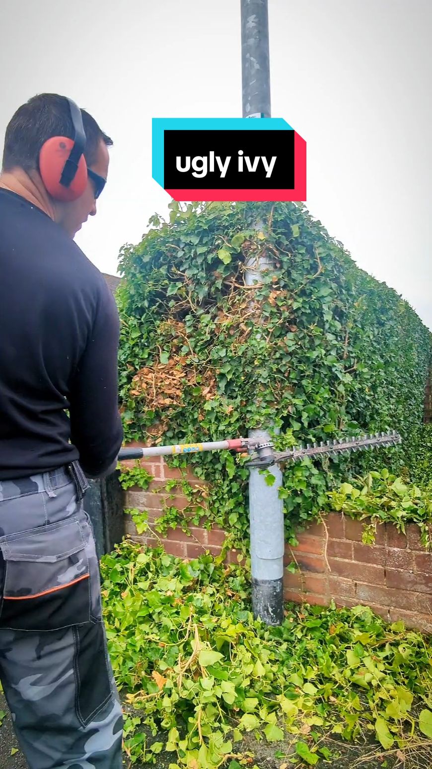 Man didn't wanto pay too much for this UGLY IVY hedge, so I gave it a quick once over !  #garden #gardening #gardeningtok #gardentok #hedge #quotes #satisfying #DIY #ugly 