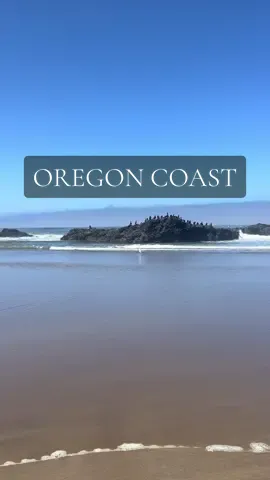 Lincoln City Beach on the Oregon Coast #oregon #pacificnorthwest #lincolncity #shoreline #wildlife #seagulls #oregoncoast 