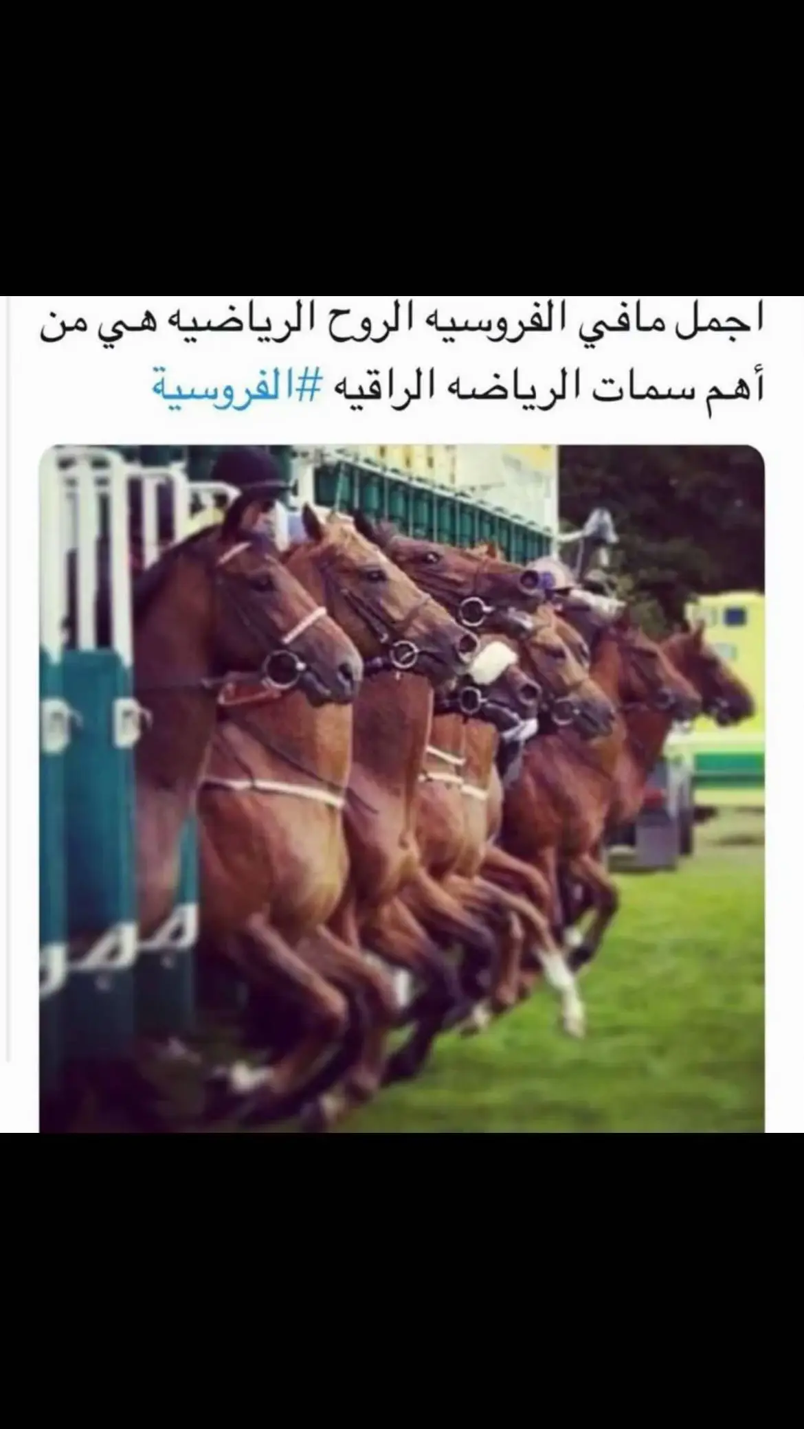 #اكسبلورexplore #خيل_وخياله🐎 #خيل_عربي 