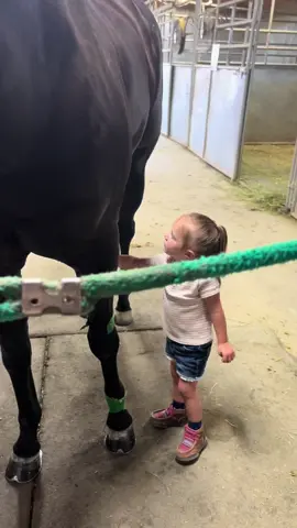 Taking care of Armani with lots of brushes since he doesnt get to be ridden or turned out. #viral #fyp #dayinthelife #barnlife #babyfever #toddler #cutenessoverloaded #toddlersoftiktok #countrygirl #cute #Summer 