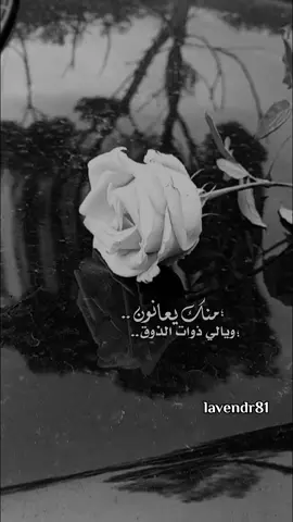 #يا #دانا  ويلي ذوات الحسن منك يغارون ✨🌸#منشن_للي_تحبه #منشن_لشخص_ودك_تقوله_هالكلام #منشن_الحب #شيلات_فخمة❤️ #تاغ_للحب #شيلات_روعه_خواطر_ذوق #حب #explore #اكسبلور #لايك_متابعه_اكسبلور #تصويري #lavendr81 #viral #الهاشتاقات_للشيوخ #CapCut 