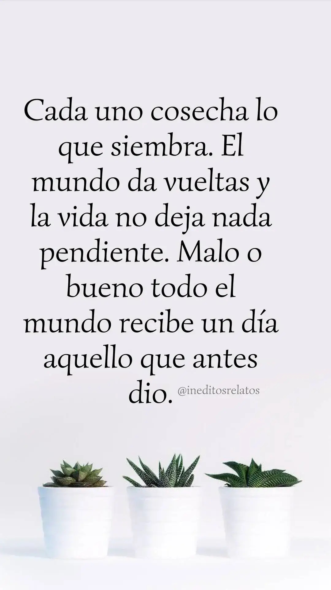 Cada uno cosecha lo que siembra. El mundo da vueltas y la vida no deja nada pendiente. Malo o bueno todo el mundo recibe un día aquello que antes dio. #reflexion #frasedeldia #vida #amorpropio #❤️ #motivation #consejos #parati #hombres #mujeres #autoestima #fyp #frasesmotivadoras #frases #cosecha #siembra 