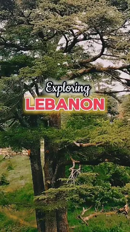 Habibi welcome to Lebanon 🇱🇧 #explorelebanon #ofwlebanon #chakadalmoves 