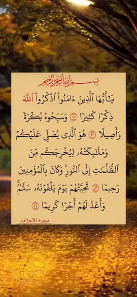 #اللهم_صلي_على_نبينا_محمد #🕋📿🕌regay_islam🌼🦋🤲 #fypシ゚viral🖤tiktok☆♡🦋myvideo #لا_اله_الا_الله_محمد_رسول_الله🎧🌿🤍 #quran_alkarim📿🕊🌿🌹 #نه_به_جمهوری_اسلامی 