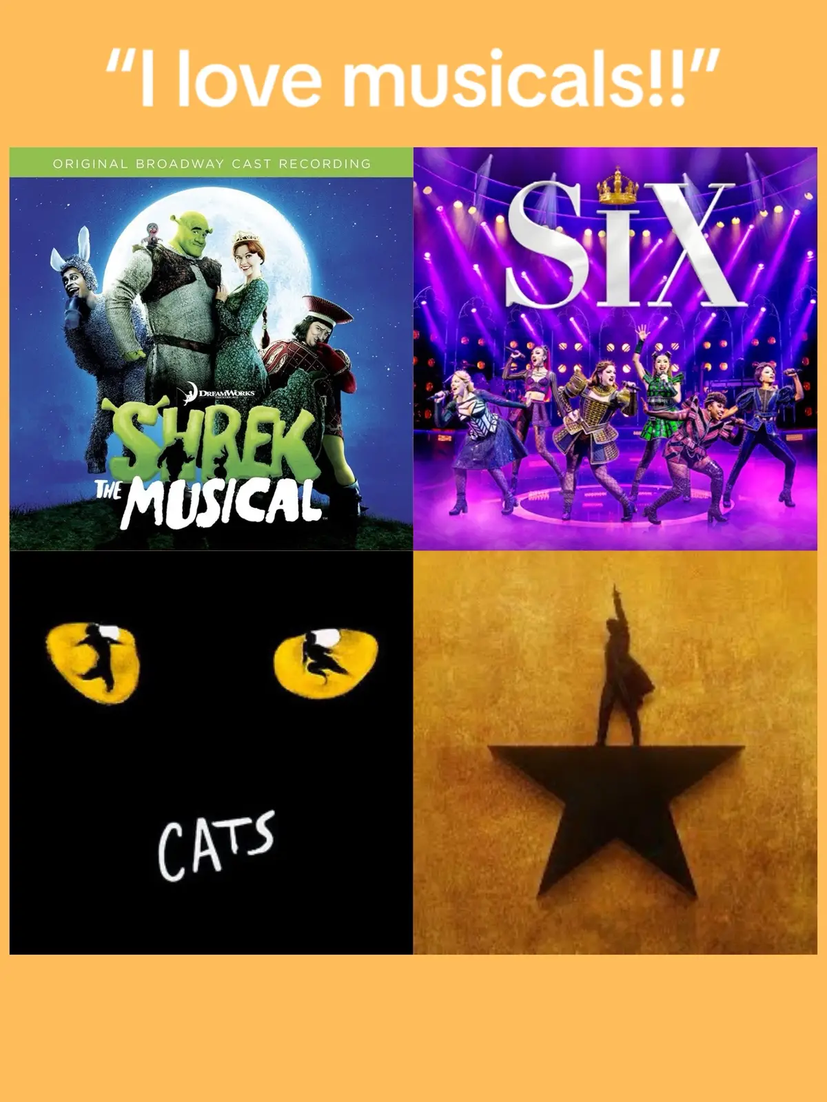 i hate Hamilton (idea borrowed from @howboutadance) #shrek #shrekthemusical #musical #theatre #theatrekid #musicaltheatre #cats #catsmusical #andrewlloydwebber #stevensondheim #hamilton #hamiltonmusical #sixthemusical #charliebrown #youreagoodmancharliebrown #charliebrownmusical #anniemusical #annie #thebestlittlewhorhouseintexas #starlightexpressmusical #starlightexpress #thegreatgatsby #thegreatgatsbymusical #newmoney