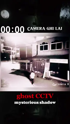 real or not #horror #ghost #animal #scary #pov #cctv 