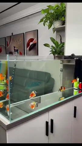 Lampu celup led Aquarium#lampuled #lampuaquarium #lampucelup #lampukamaraesthetic #77flashsale 