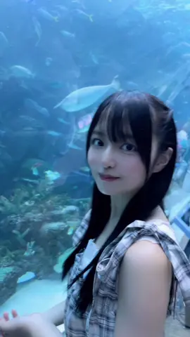 のどかのこと好きすぎて苦しんで欲しいっておもってる   たまに #水族館 #fyp #05 