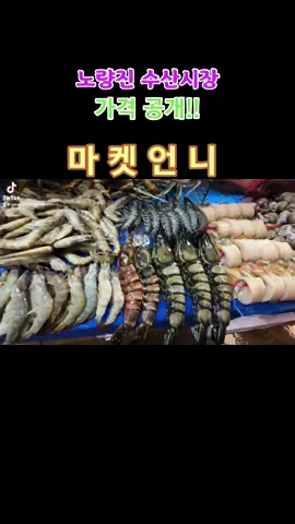 🐟안녕하세요 “마켓 언니 ”입니다. . 🩵노량진수산시장의 전체 영상이 궁금하시다면? 🩵YouTube 마켓언니 채널에서 에서 시청 가능하십니다.  🩵링크는 상단 프로필에 있으니 클릭 해 주시면 됩니다. . 🐟마켓언니에서는 전통시장,전국의 농가를 직접 찾아가  농수산물시세를 알려드리고  있는데요!!! 🐟 오늘 찾아간 곳은?  , 🐟노량진 수산시장 랍스터 가격이 지금이 가장 좋을 때라고 하시는데요!! 🐟실상해보이죠?? 킹크랩부터 대게,방어,문어.. 없는것 없는 노량진 수산시장  🐟크기부터!!! 대단합니다. #노량진 #노량진수산시장 #수산물 #수산물시장 #마켓언니 #시장 #전통시장 