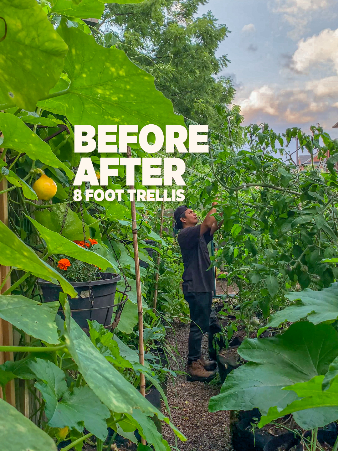 Yesterday is history, tomorrow is a mystery, but today is a gift... ...that is why it is called the present #today #beforeandafter #gardening #gardeningideas #gardentok