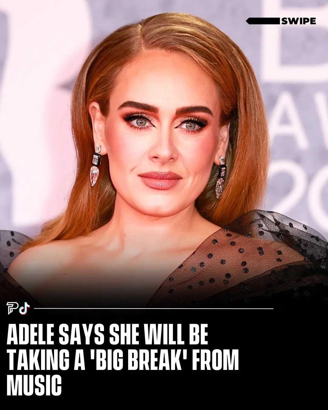 Adele announced she intends to take a long break from music following her current concert series.  
