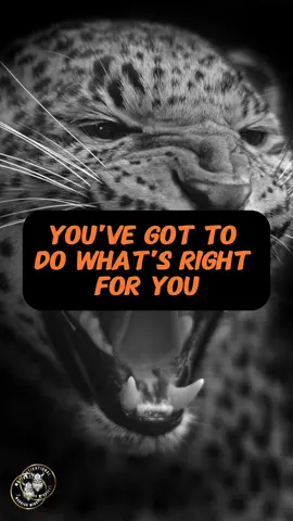 You’ve got to do whats right for you, even if it hurts some people you love. #dowhatsrightforyou #motivational_video #quotesaboutlife #motivationalspeech #motivatioalspeaker #motivational_quote #inspirationalspeech #inspirationalspeaker #inspirational_quotes #peoplemotivation #life_lessons #LifeAdvice #lifejourney #_mindset 