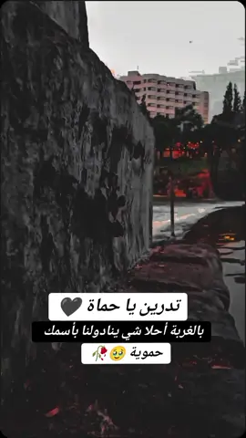 #CapCut #حموية_والطلة_ملكية #حماة_الوطن #حموية_يا_سمااا🥰يسعدكون #مجرد_ذووقツ🖤🎼 #🖤🥀 #اثبتوا_وجودكم_ولاد_بلدي😎 