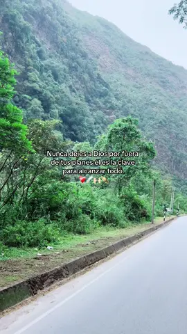 #fyp #viral #naturaleza #naturalezapaisajes #selva#selvacentral #pichanaki #reflexion #disfrutar #paseo#fyppppppppppppppppppppppp 