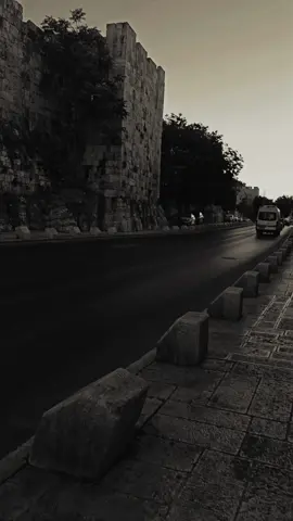 Street walk 🤍 . . #street #streetwalk #nightwalk #nightwalks #explore #بدون_موسيقى #فيديو #راحة #هدوء #مشي 