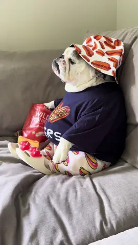 Big Wiener Energy 🌭😂 #hotdog #asmr #asmrsounds #dogsoftiktok #englishbulldog 