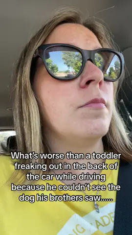 Toddlers man, never a dull moment. #toddlers #toddlersoftiktok #parenttok #toddlermom #carridesbelike #carrideswithkids #momtok #MomsofTikTok #mom #mum #boymom #toddlerlife #parents #tantrum #lifewithkids 
