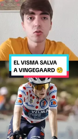 EL VISMA SALVA A VINGEGAARD🧐 #ciclismo #tourdefrancia #vingegaard #vismaleaseabike #pogacar #uaeteamemirates #mvdp #woutvanaert #ciclismoderuta #remcoevenepoel #roglic 