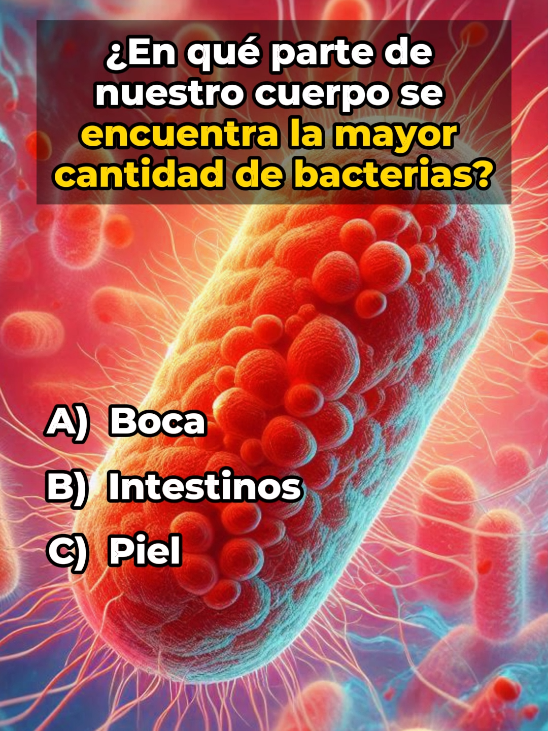 CUÁNTO SABES DE CULTURA GENERAL #quiz #trivia #Triviador #quizgo