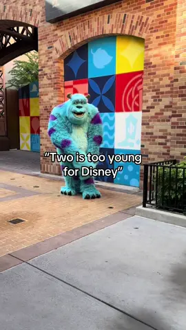 Children under Three are free park entry. Take the trip 💕 #disneyworld #monstersinc #hollwoodstudios #pixar #sully #twoundertwo #bestfriend #fypage 