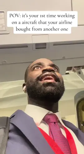 #whatisthishoney #whiterefrigerator #blackflightattendantsusa #flightattendanttiktok #humor 