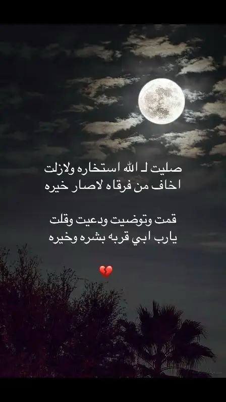 #اشعار__وقصايد #قصيده_شعر_بوح_كلام_من_ذهب #ليل_وسهر #ذوقي #خواطر #قصايد_شعر_خواطر_أكسبلوررر #شاعر 