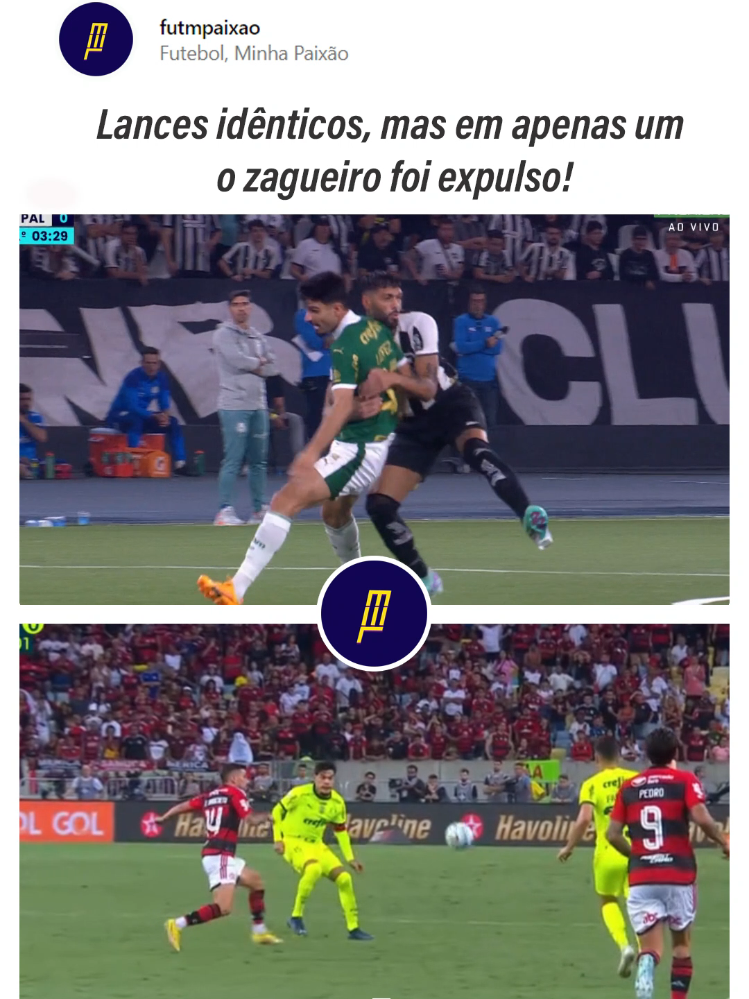 O Palmeiras pediu expulsão para o zagueiro do Botafogo #botafogo #palmeiras