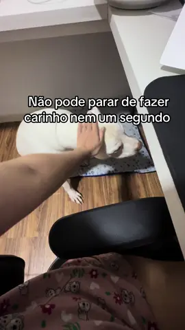 Carente #pitbull #fy #fypシ #foryou #foryoupage #carinho 