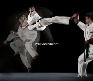 تصميمي 🔥😑#كيوكوشنكاي_العراق🔥🥋 #kyokushin #نادي_ديالى_الرياضي #fyp #viral #foryou #viraltiktok 