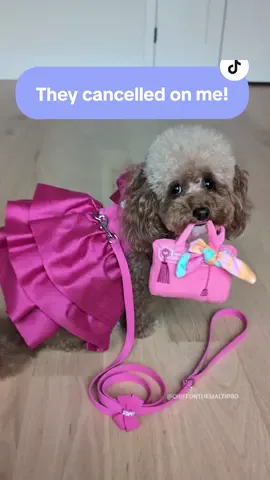 Disappointed purse drop 🥲👜  Would you drop everything and go back to relaxing if someone cancelled plans with you or see if another friend wants to go out?🐾 Madison dress and leash in pink sapphire and purse: @Posh Puppy Boutique  • 'CHIFFON'  #fashionista #dogs #dogsoftiktok #fancy 