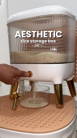 yes to aesthetic home essentials ✨🍚 #ricestoragebox #ricestorage #riceorganizer #teamkahoy #teamputi #homeessentials 