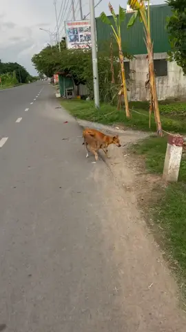 Riết chán hết muốn nói 😡 #shippergiaohang #thinhhanh 