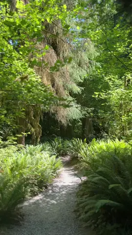 take a deep breath #washington #reflection #SelfImprovement 
