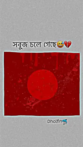 😅💔#Dholfin🐬 #AH #SaveBangladeshiStudents 