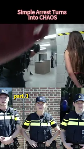 #Simple Arrest Turns Into CHAOS