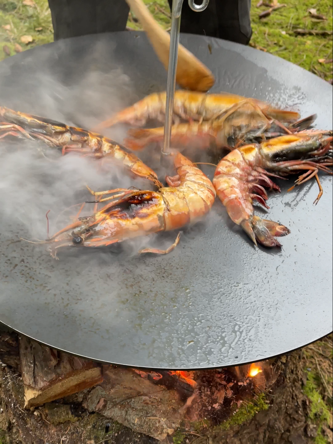 Ever seen such massive Shrimps?🤤  #nature #outdoorcooking #seafood #firekitchen