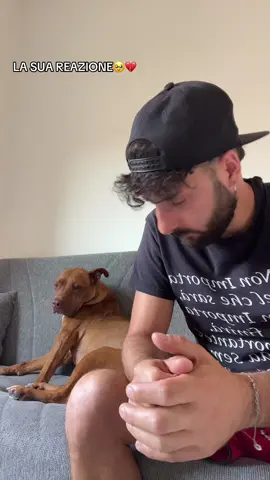 PIÙ EMPATICI DEGLI ESSERI UMANI.. 