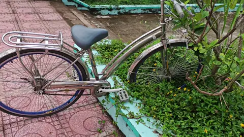 tìm thấy xe đạp của người ngoài hành tinh bỏ quên #joke #ufo #viral #xuhuong #nguoingoaihanhtinh 