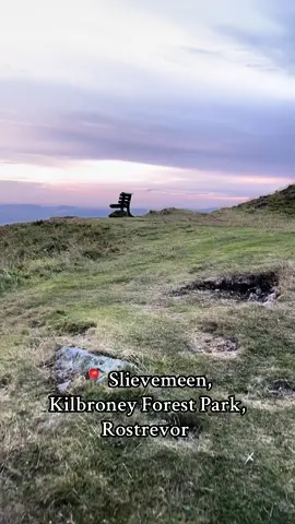 Lil sunset hike vlog ☘️⛰️💛 #ireland #northernireland #mournemountains #sunset #irish #springerspaniel #Hiking 