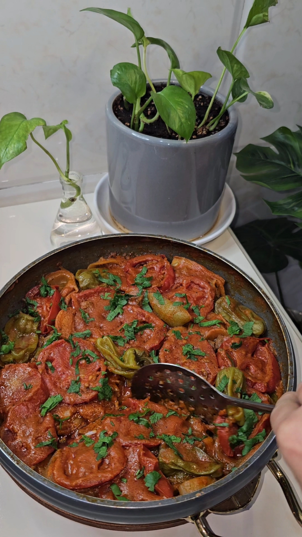 تەپسی بەشێوازێکی خۆش و ئاسان #tiktokindia #viralvideo #foryoupage #fyp #fypシ゚viral #viral #explorepage #kurdishfood #kurdistan #bts #xwardni_khayal #blackpink #foryoupageofficiall #explore  کەرەستەکان  باینجان تەماتە پەتاتە کولەکە پیاز بیبەری شیرین کەرەستەکان سوربکەنەوە جگە لە تەماتەکە گۆشتی ورد کراو یان قیمە سوریبکەوە و کەمێک بیکوڵێنە 2 دەنکە سیر بیبەری تیژ بۆ سۆسەکەی 1 کەوچک و نیوی خواردن دۆشاوی تەماتە خوێ بیبەری ڕەش کەمێک زەیت ئاوی گەرم دۆشاوەکە سوربکەنەوە دواتر خوێ و بیبەری ڕەش و ئاوی گەرمی تێبکەن و دوو دەقە بیکوڵێنن کە تەپسیەکەتان ئامادەکرد لەسەر ئاگرێکی مامناوەند بیکوڵێنن. زۆر سوپاس بۆ کۆمپانیای برنجی مەحمود بۆ سپۆنسەری پۆستی ئەمڕۆم 