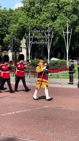 The Army, Royal Air Force and Royal Navy march down the Mall for the State Opening of Parliament #fyp #london #buckinghampalace #kingsguard #guard #royalnavy #royalmarines #raf #royalairforce #royal #stateopeningofparliment #parliament 