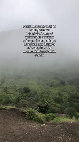 #pendakigunung #pendaki #gunungmerbabu #aesthetic #videoestetik 