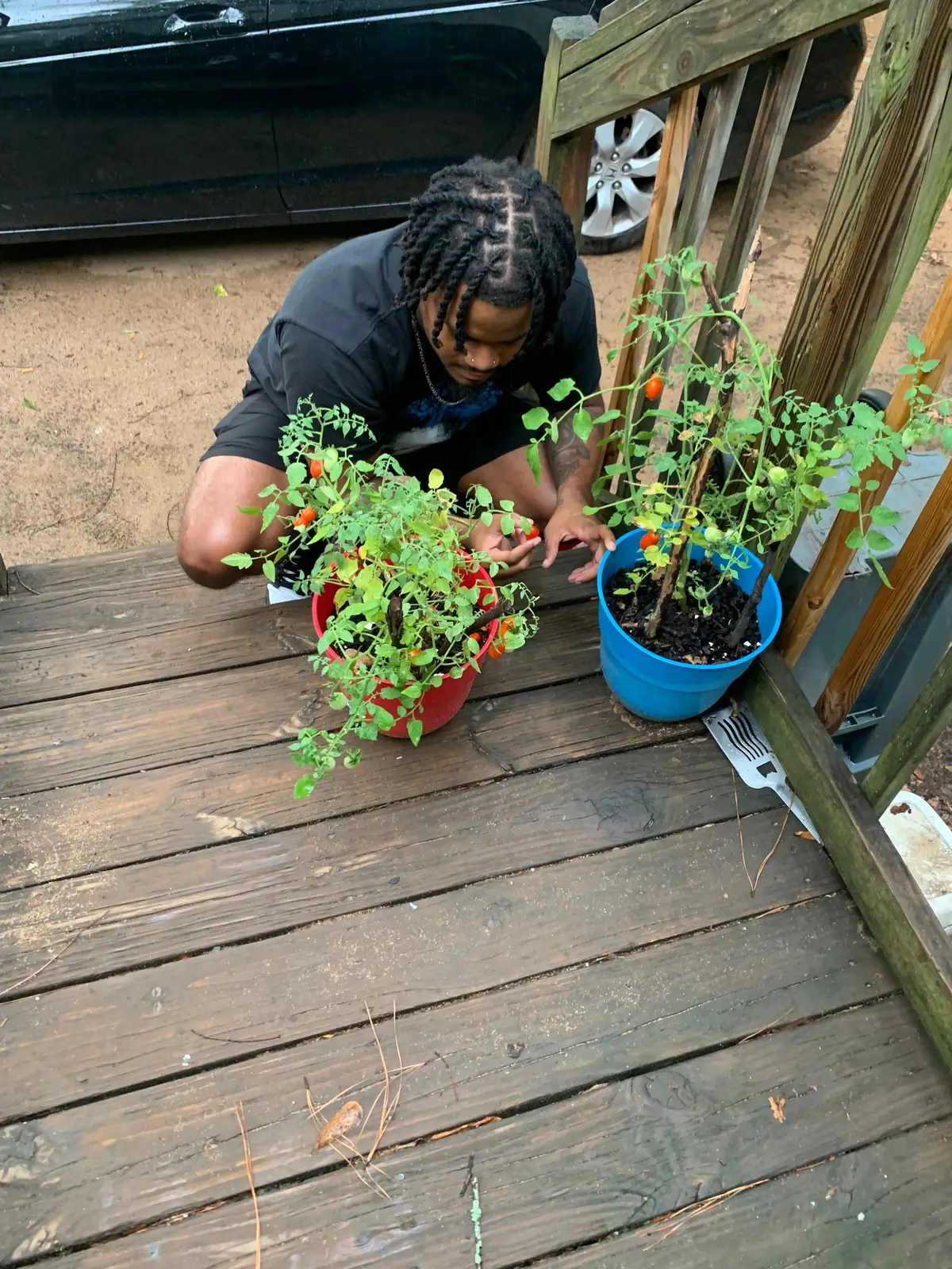 My first day at the house of my 55 year old cougar I met on Facebook dating place 🤣🤣 She seen my post about wanting a cougar , so I’m thinking I’m coming over to watch Netflix and chill. She put me to work as soon as I walked up to the door she said  “check on my tomatoes for me baby” I love it here 😍 #DRich #cougarlife #cub #datinglife #olderwomen #single 