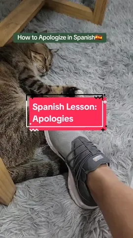 🙇‍♀️Learn How to Apologize in Spanish: The Four Most Common Ways: Whether you're expressing regret with 'Lo siento,' getting attention with 'Disculpe,' seeking forgiveness with 'Perdón,' or politely interrupting with 'Con permiso,' each phrase serves a unique purpose in Spanish communication.  #spanish #spanishlesson #learnspanish #spanishclass  #apologies #aprendeespañol #spanishteacher 