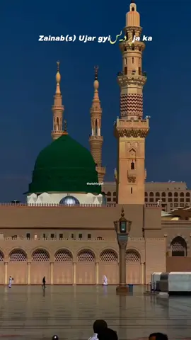 Zainab (s) Ujar gyi pardes ja ka💔😭 . #imamhussain #karbala #shia #muharram #tiktok #foryou #foryoupage #fyp #whatsappstatus #exploremore #feed 