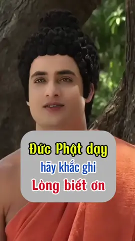 Đức Phật dạy Hãy khắc ghi “Lòng biết ơn” #xuhuong #thinhhanh #phatphaplinhung #nammoadidaphat #loiphatday #longbieton 
