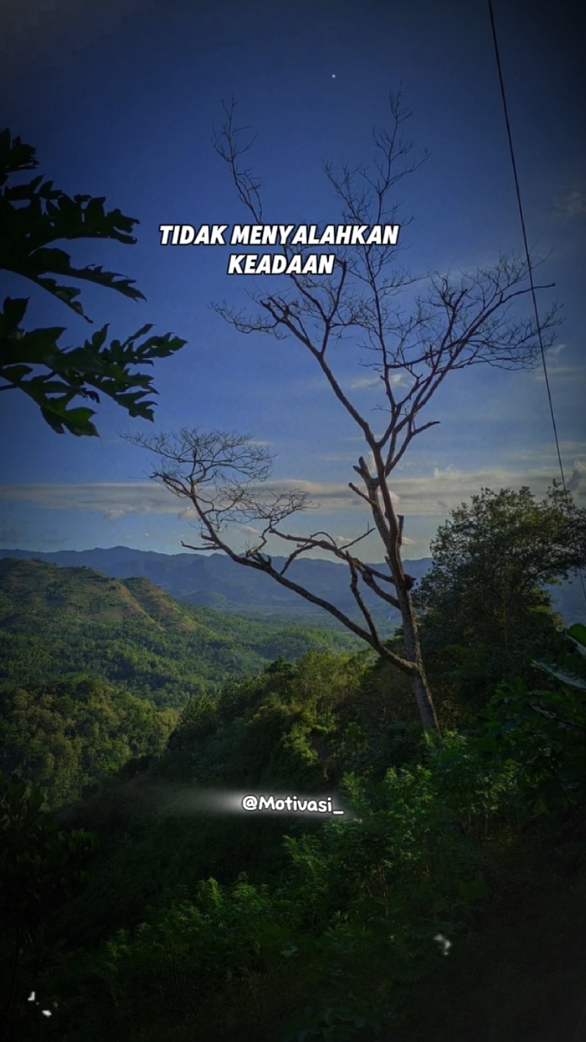 tidak menyalahkan keadaan #CapCut #TTPetualangPro #teamap #viral #statusharian #motivasi #motivation #quotes #fyp #trending #trendingvideo #trend #EkspresikanDenganCapCut #trendtiktok 