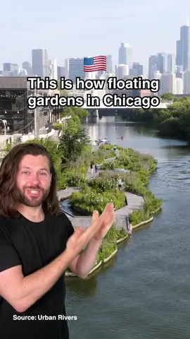 Would you love these floating parks in your city? #fyp #foryou #goodnews #greendesign #airpollution #chicago 