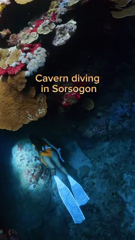 Hold your breath with me as I penetrate one of the beautiful underwater cave in Sorsogon. 🔥🥰 This short but challenging cave was so satisfying. ☺️ 📸 @eulosoriano 🎨 @papapjpascual  🧜🏻‍♀️ Still in awe on how artistic God created His craft.  Grateful 💯 to Him for the superb weather, on point visibility and crisp EQ that time. 🥹 Eyyy!! 🙇🏼‍♀️ Glory to God. #fyp #foryou #odyseafreedivers #underwater #freediving #girlsthatfreedive #cave #underwatercave #sorsogon #travel #deepdive #deepblue 