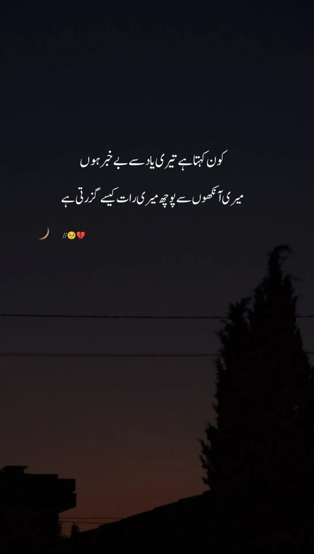 Lines 🥺💔#poetrystatus #foryou #mr_wasi_6 #foryoupage #viralvideo #unfrezzmyaccount #foryoupageofficiall #pakistanitiktokofficial 